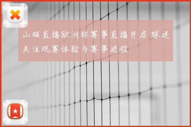 山猫直播欧洲杯赛事直播开启 球迷关注观赛体验与赛事进程