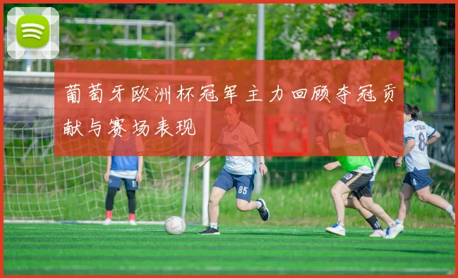 葡萄牙欧洲杯冠军主力回顾夺冠贡献与赛场表现