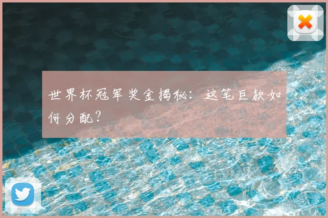 世界杯冠军奖金揭秘:这笔巨款如何分配?