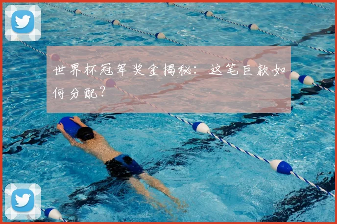 世界杯冠军奖金揭秘：这笔巨款如何分配？