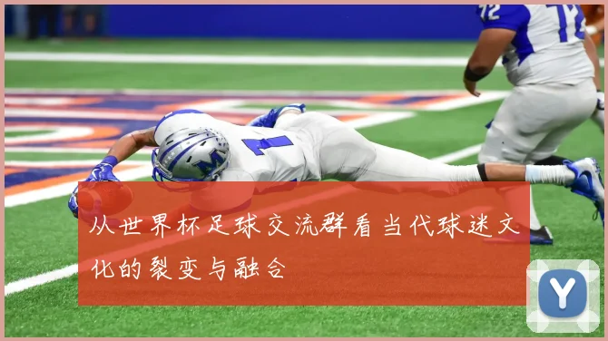 从世界杯足球交流群看当代球迷文化的裂变与融合
