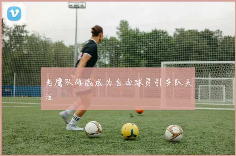 老鹰队路威成为自由球员引多队关注