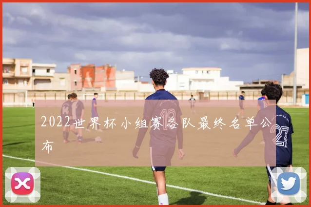 2022世界杯小组赛各队最终名单公布
