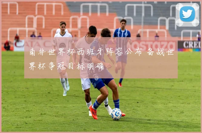 南非世界杯西班牙阵容公布 备战世界杯争冠目标明确