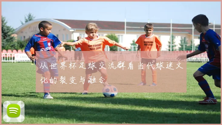 从世界杯足球交流群看当代球迷文化的裂变与融合
