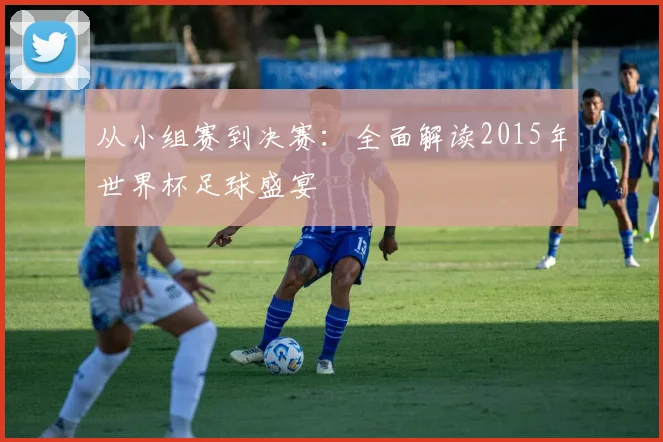 从小组赛到决赛:全面解读2015年世界杯足球盛宴