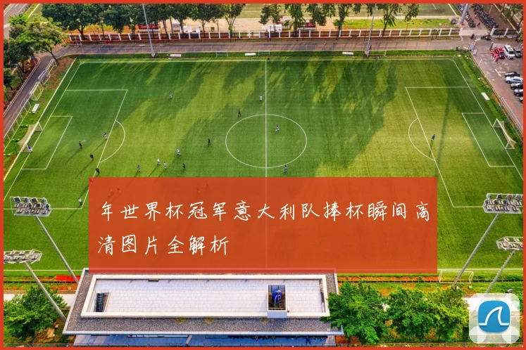年世界杯冠军意大利队捧杯瞬间高清图片全解析
