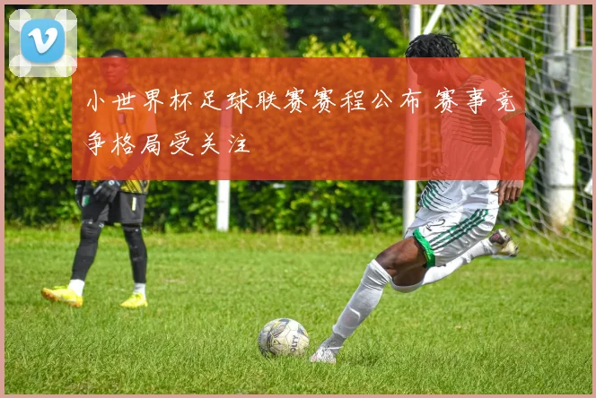小世界杯足球联赛赛程公布 赛事竞争格局受关注
