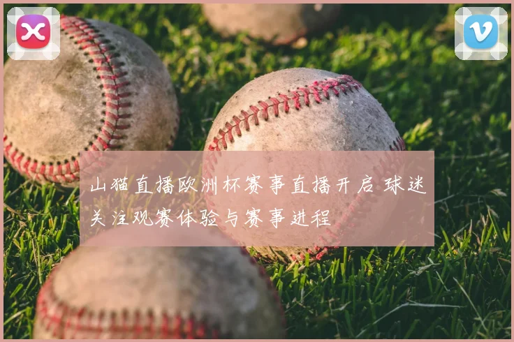 山猫直播欧洲杯赛事直播开启 球迷关注观赛体验与赛事进程
