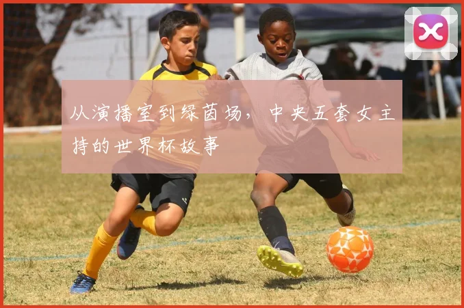 从演播室到绿茵场，中央五套女主持的世界杯故事