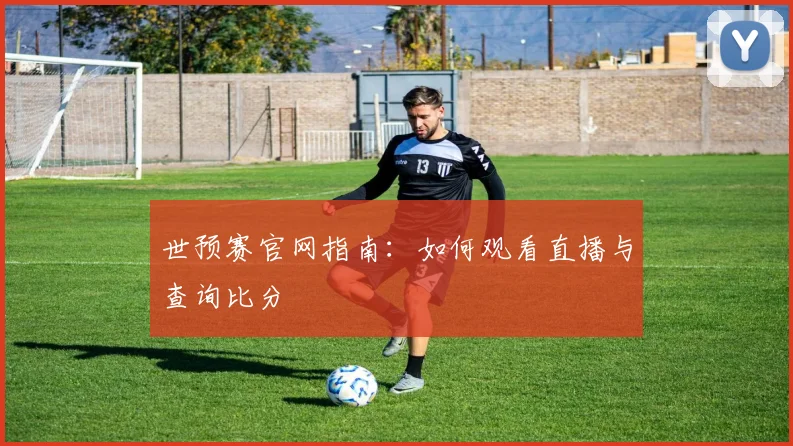 世预赛官网指南:如何观看直播与查询比分